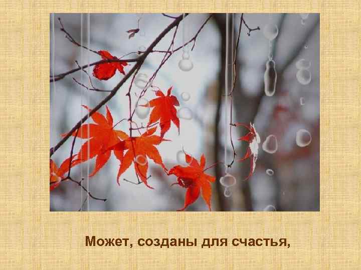 Может, созданы для счастья, 