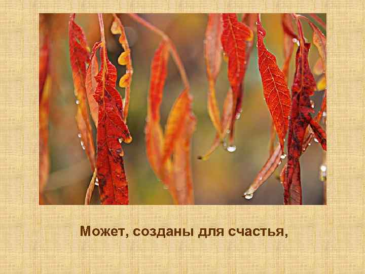 Может, созданы для счастья, 