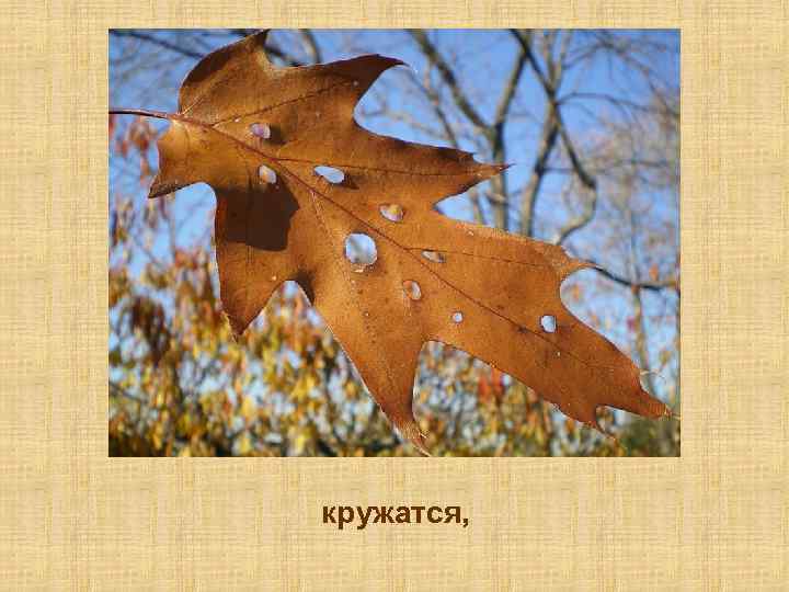 кружатся, 