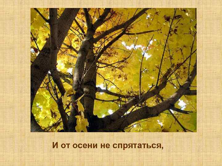 И от осени не спрятаться, 