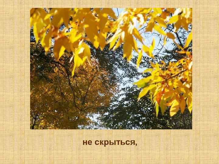 не скрыться, 