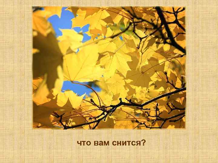 что вам снится? 