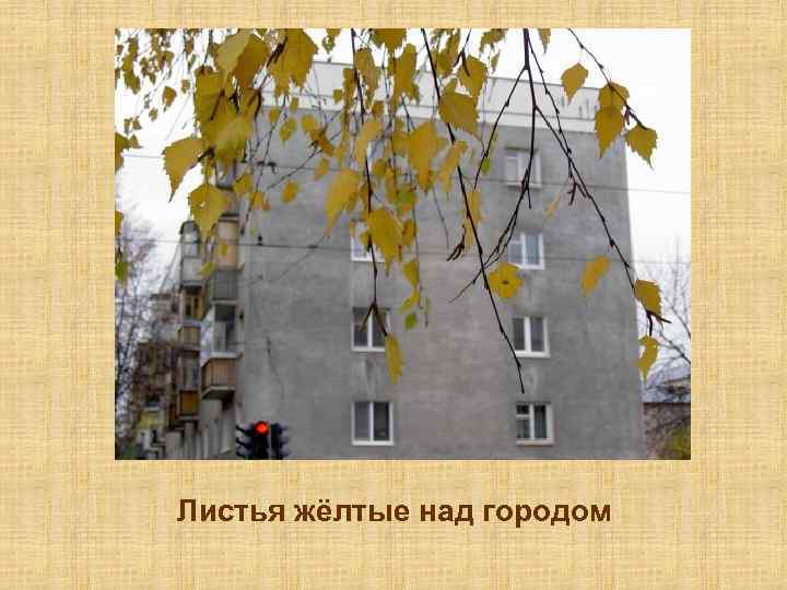 Листья жёлтые над городом 