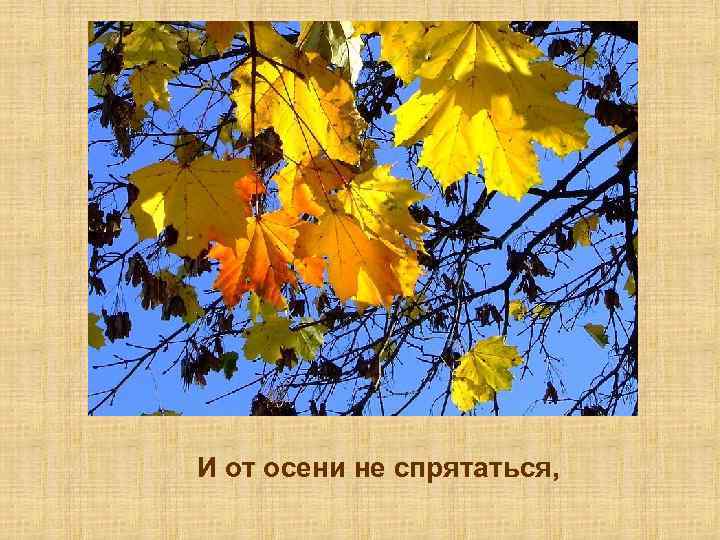 И от осени не спрятаться, 