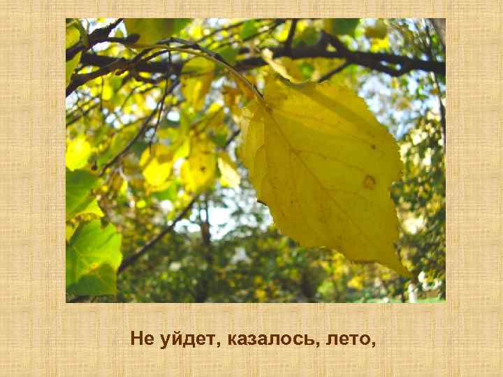 Не уйдет, казалось, лето, 