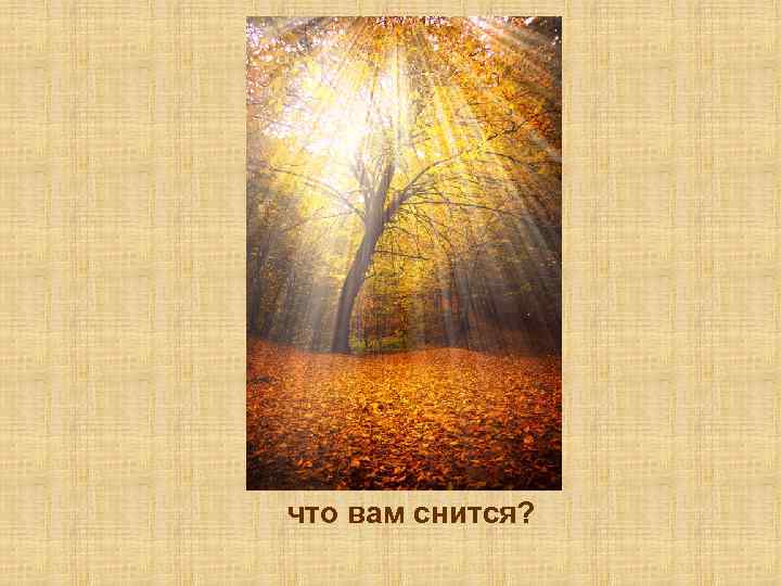 что вам снится? 