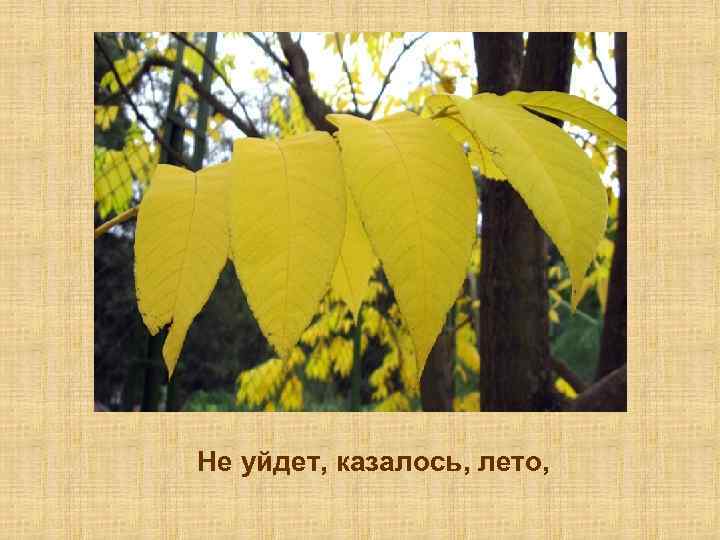 Слово желтый какое это слово. Желтые листья с названием. Слова листик желтый листик желтый. Бело желтый лист название. Как называется лист который жёлтый.