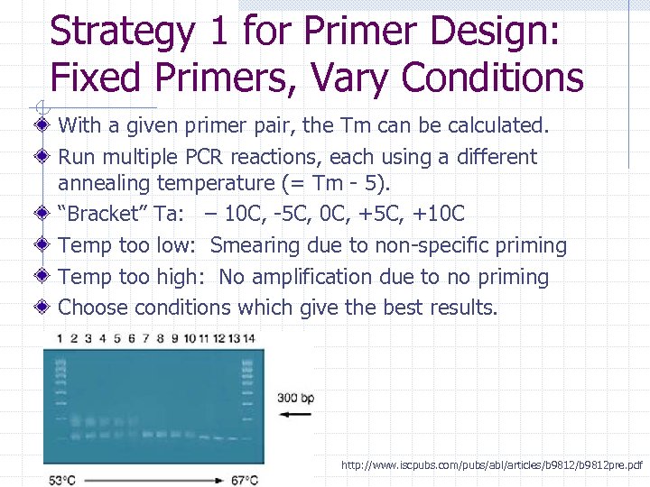 Strategy 1 for Primer Design: Fixed Primers, Vary Conditions With a given primer pair,