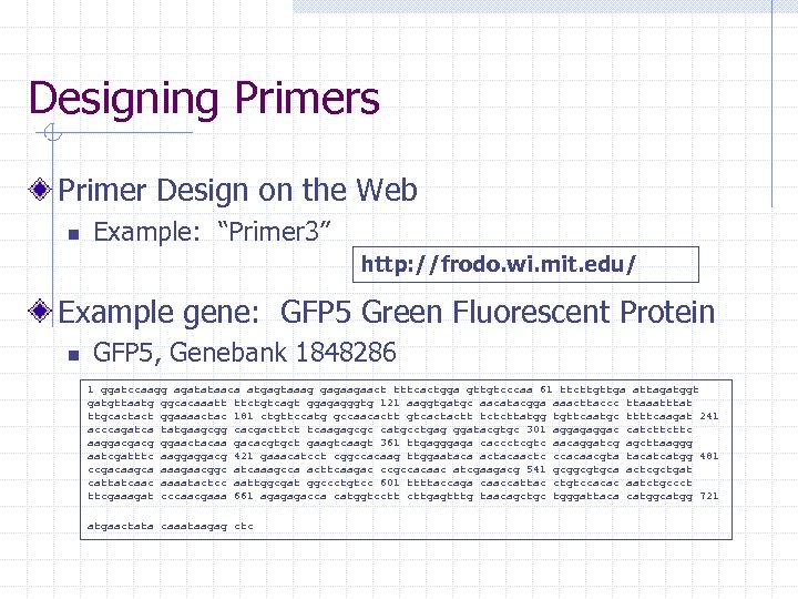 geneious prime primer design