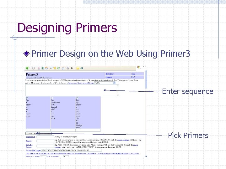 Designing Primers Primer Design on the Web Using Primer 3 Enter sequence Pick Primers