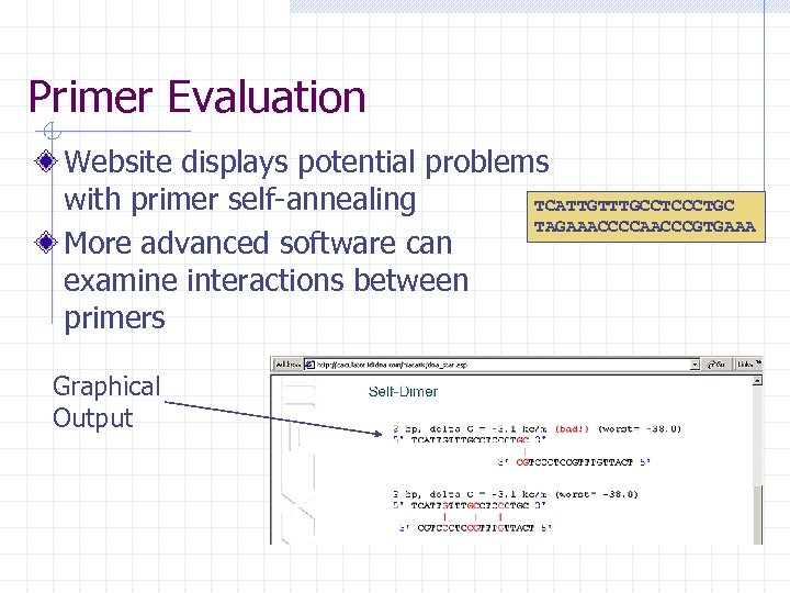 Primer Evaluation Website displays potential problems with primer self-annealing TCATTGTTTGCCTCCCTGC TAGAAACCCCAACCCGTGAAA More advanced software