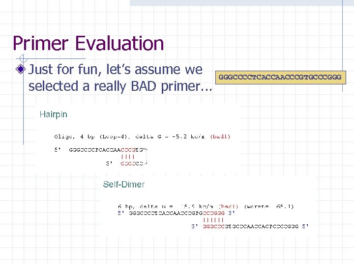 Primer Evaluation Just for fun, let’s assume we selected a really BAD primer. .