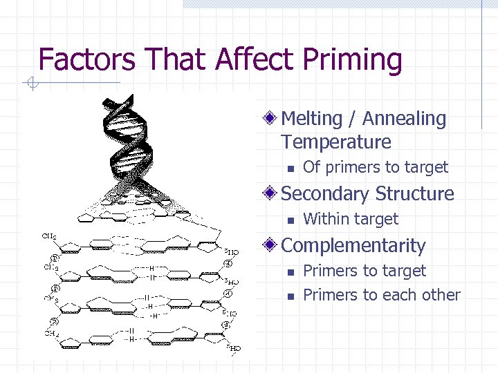 Factors That Affect Priming Melting / Annealing Temperature n Of primers to target Secondary