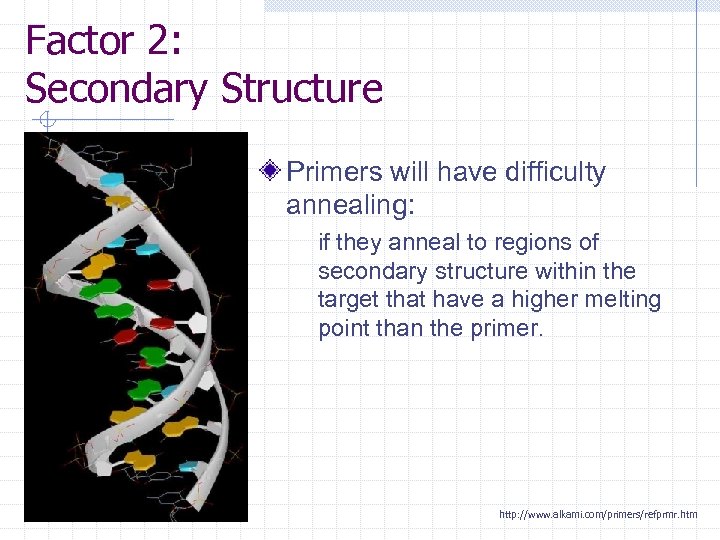 Factor 2: Secondary Structure Primers will have difficulty annealing: if they anneal to regions