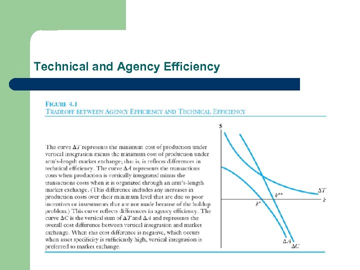 Technical and Agency Efficiency 