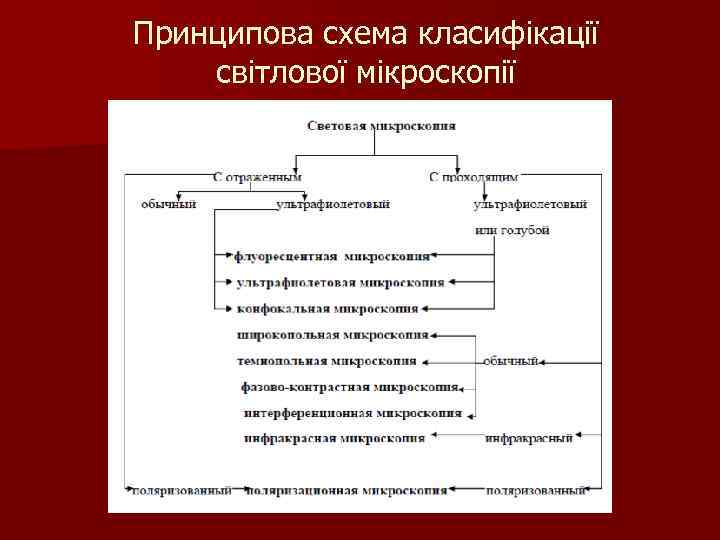 Принципова схема класифікації світлової мікроскопії 