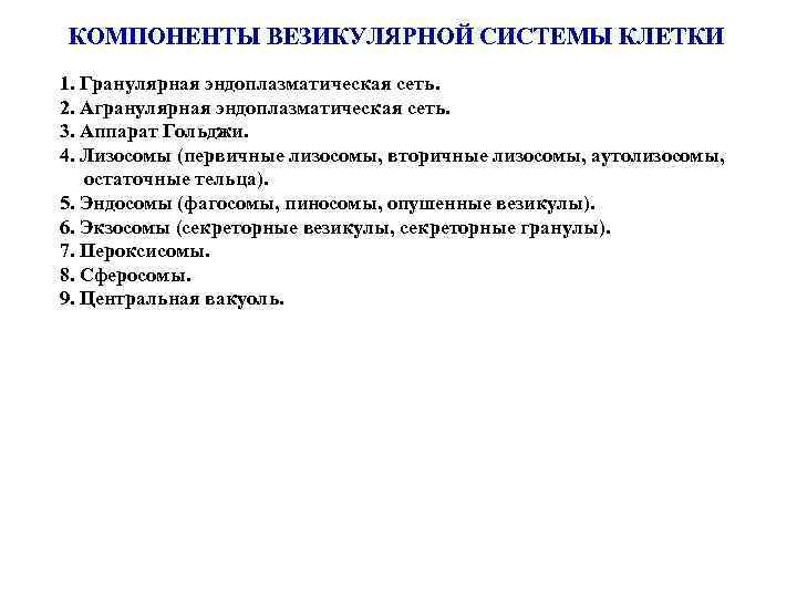 КОМПОНЕНТЫ ВЕЗИКУЛЯРНОЙ СИСТЕМЫ КЛЕТКИ 1. Гранулярная эндоплазматическая сеть. 2. Агранулярная эндоплазматическая сеть. 3. Аппарат