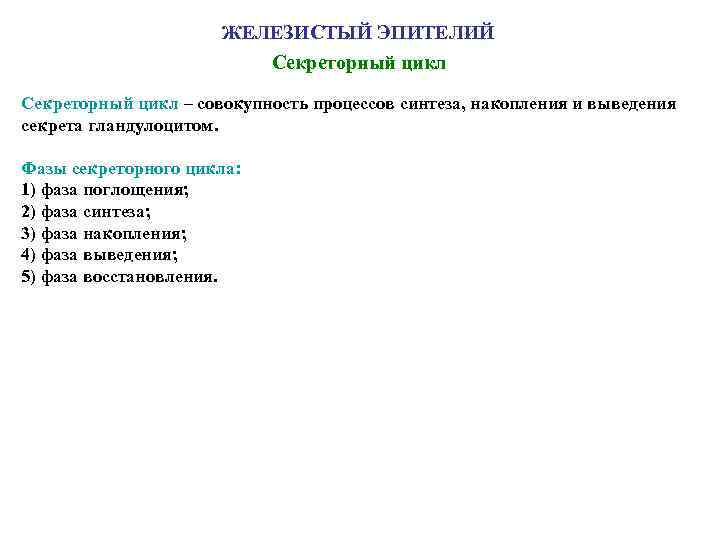 ЖЕЛЕЗИСТЫЙ ЭПИТЕЛИЙ Секреторный цикл – совокупность процессов синтеза, накопления и выведения секрета гландулоцитом. Фазы