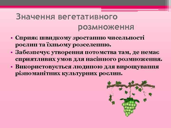 Значення вегетативного розмноження • Сприяє швидкому зростанню чисельності рослин та їхньому розселенню. • Забезпечує