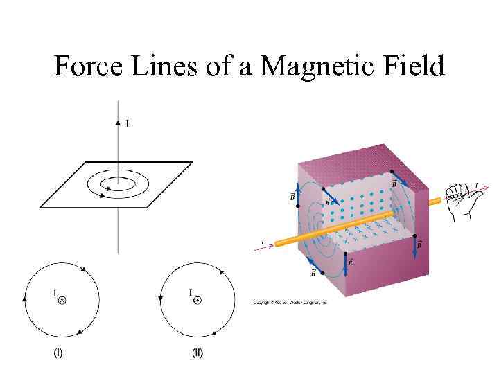 Force Lines of a Magnetic Field 