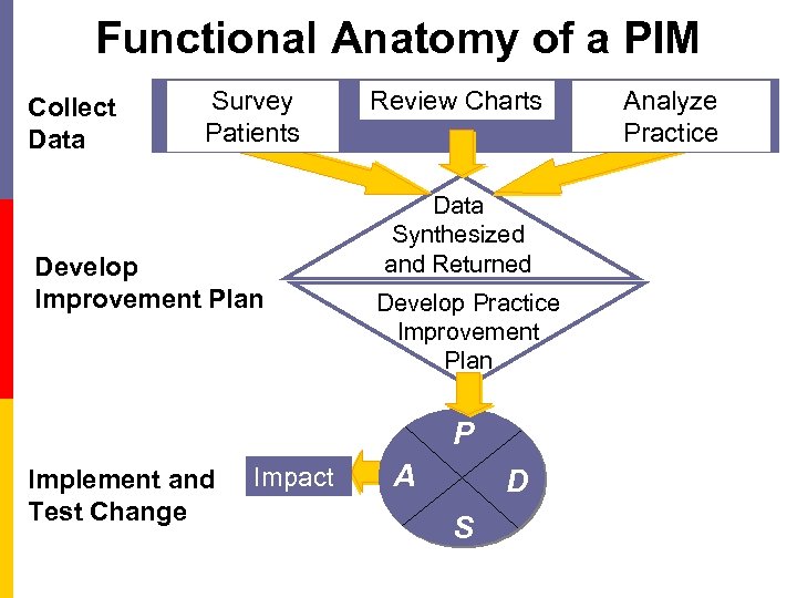 Functional Anatomy of a PIM Collect Data Survey Patients Develop Improvement Plan Review Charts