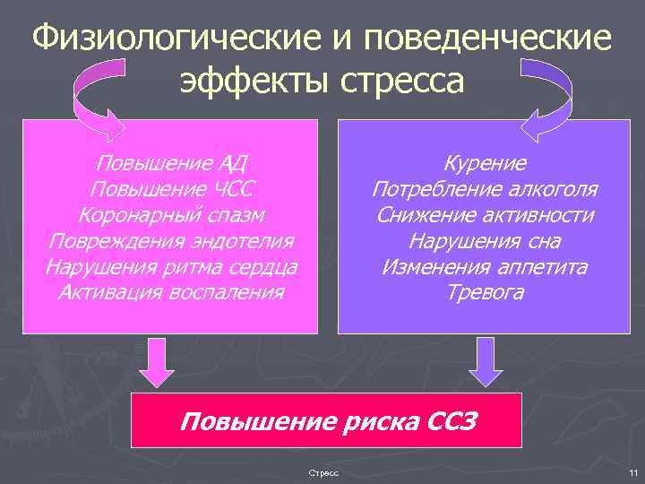 Физиологические и поведенческие эффекты стресса Повышение АД Повышение ЧСС Коронарный спазм Повреждения эндотелия Нарушения