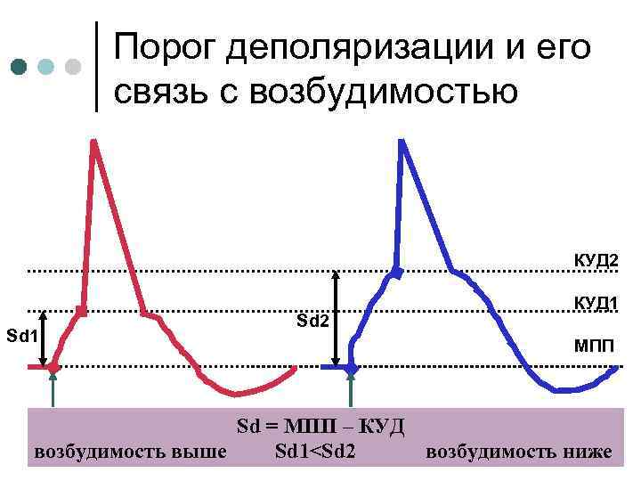 Порог деполяризации и его связь с возбудимостью КУД 2 Sd 1 Sd 2 КУД