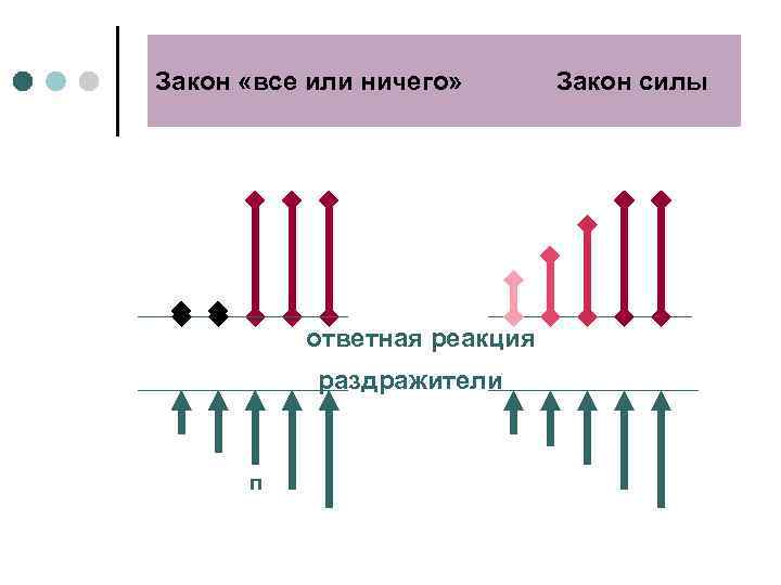 Закон «все или ничего» ответная реакция раздражители п Закон силы 