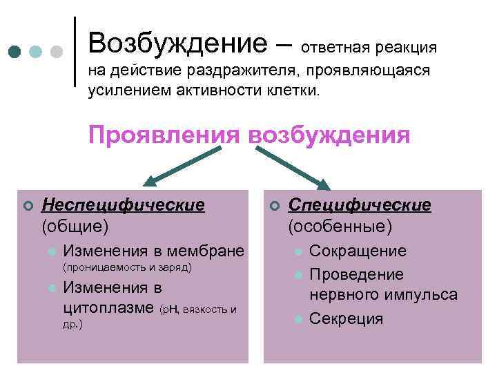 Какое бывает возбуждение