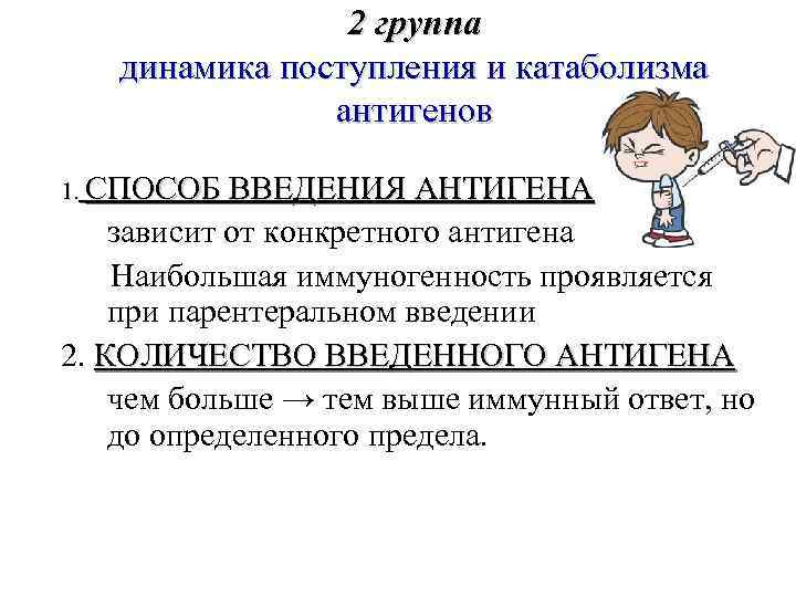 2 группа динамика поступления и катаболизма антигенов 1. СПОСОБ ВВЕДЕНИЯ АНТИГЕНА зависит от конкретного