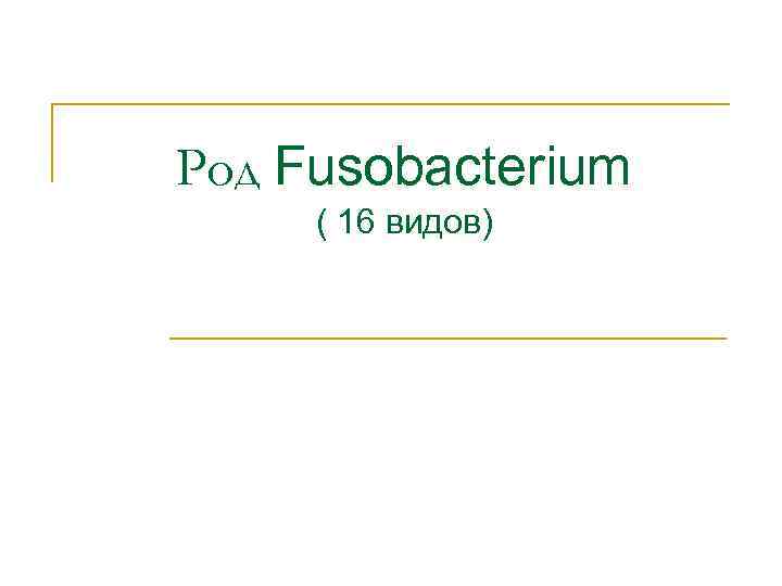 Род Fusobacterium ( 16 видов) 