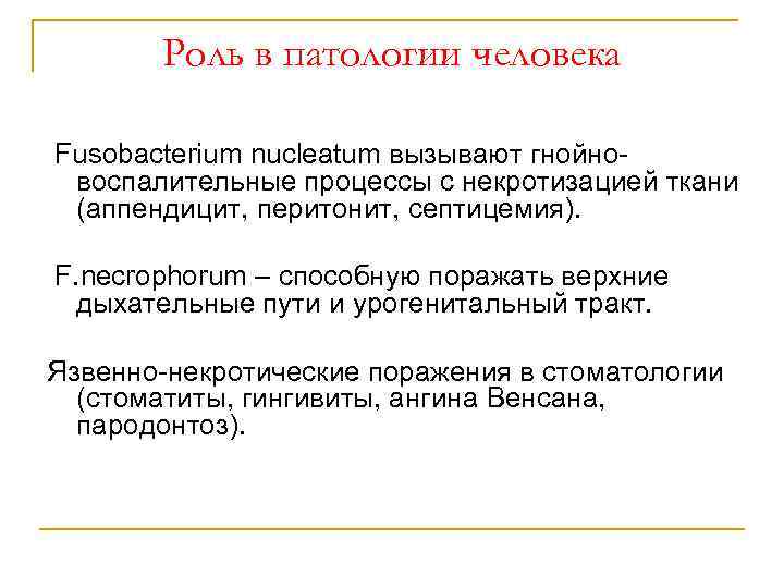 Роль в патологии человека Fusobacterium nucleatum вызывают гнойновоспалительные процессы с некротизацией ткани (аппендицит, перитонит,