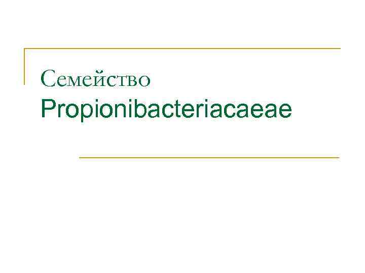 Семейство Propionibacteriacaeae 