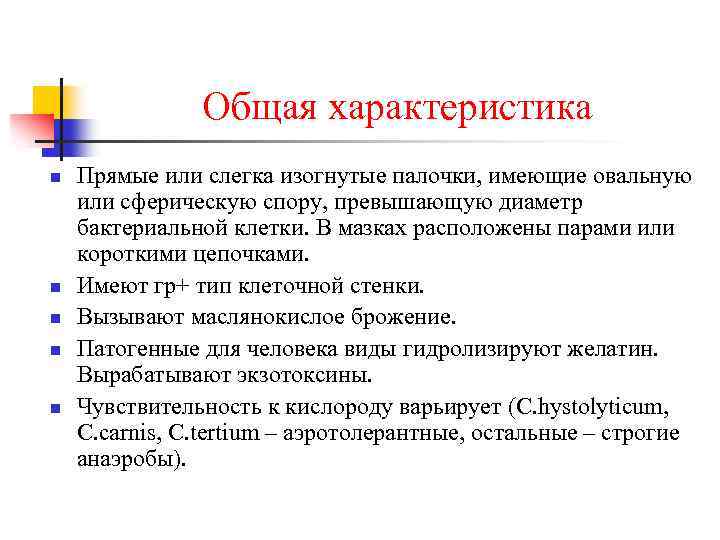 Общая характеристика n n n Прямые или слегка изогнутые палочки, имеющие овальную или сферическую