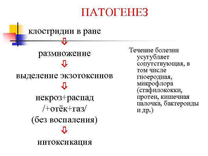 ПАТОГЕНЕЗ клостридии в ране размножение выделение экзотоксинов некроз+распад /+отёк+газ/ (без воспаления) интоксикация Течение болезни