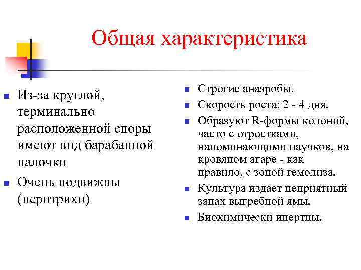 Общая характеристика n n Из-за круглой, терминально расположенной споры имеют вид барабанной палочки Очень