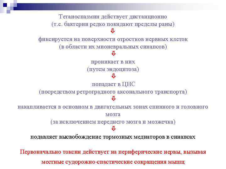 Тетаноспазмин действует дистанционно (т. е. бактерии редко покидают пределы раны) фиксируется на поверхности отростков