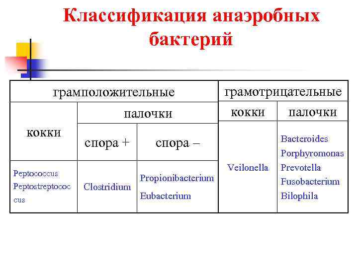 Классификация анаэробных бактерий грамположительные палочки кокки Peptococcus Peptostreptococ cus спора + Clostridium грамотрицательные кокки