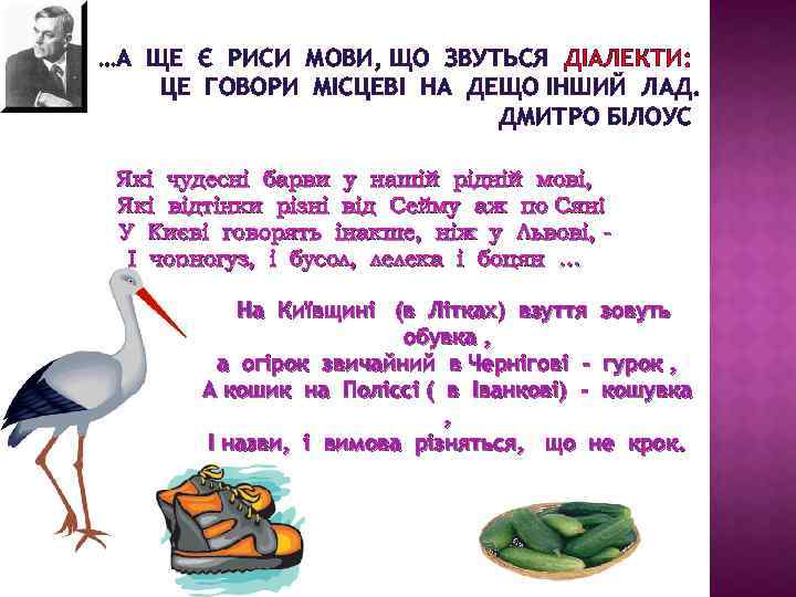 …А ЩЕ Є РИСИ МОВИ, ЩО ЗВУТЬСЯ ДІАЛЕКТИ: ЦЕ ГОВОРИ МІСЦЕВІ НА ДЕЩО ІНШИЙ