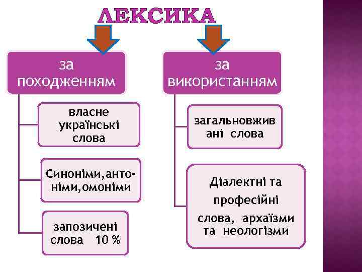 ЛЕКСИКА за походженням власне українські слова Синоніми, антоніми, омоніми запозичені слова 10 % за