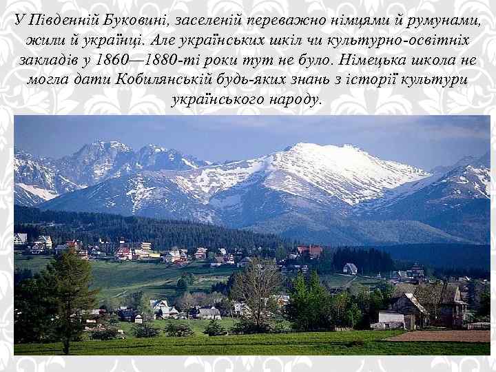 У Південній Буковині, заселеній переважно німцями й румунами, жили й українці. Але українських шкіл