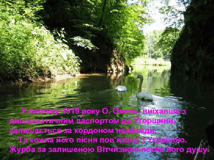 У лютому 1919 року О. Олесь, виїхавши з дипломатичним паспортом до Угорщини, залишається за