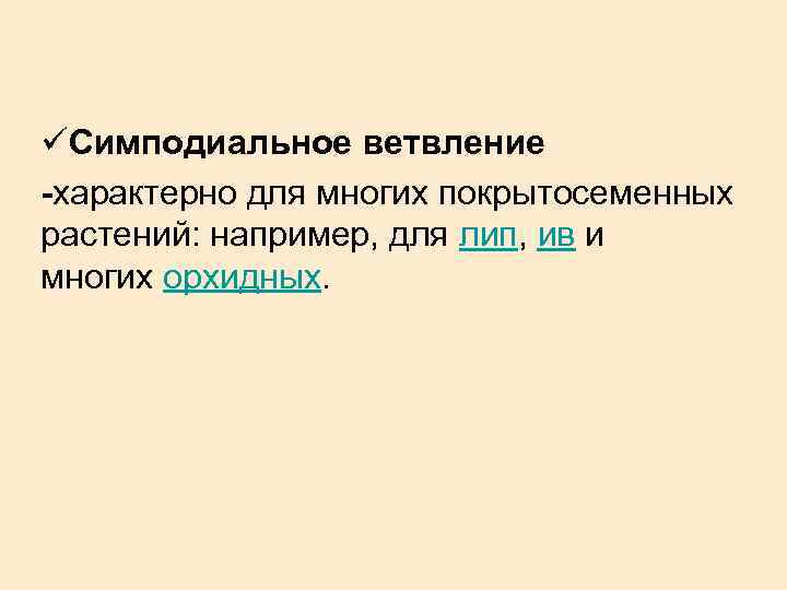 üСимподиальное ветвление -характерно для многих покрытосеменных растений: например, для лип, ив и многих орхидных.