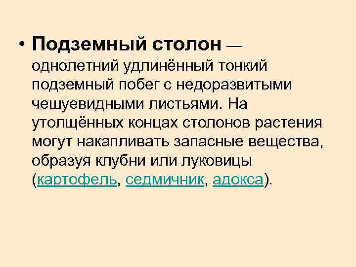  • Подземный столон — однолетний удлинённый тонкий подземный побег с недоразвитыми чешуевидными листьями.