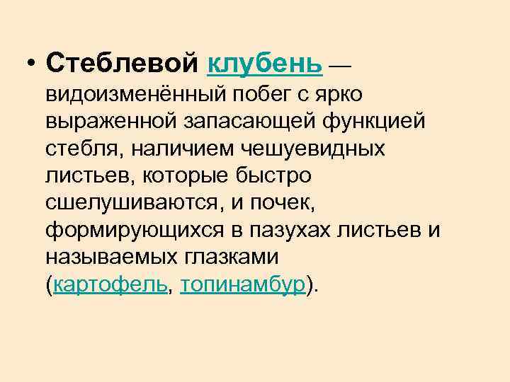  • Стеблевой клубень — видоизменённый побег с ярко выраженной запасающей функцией стебля, наличием