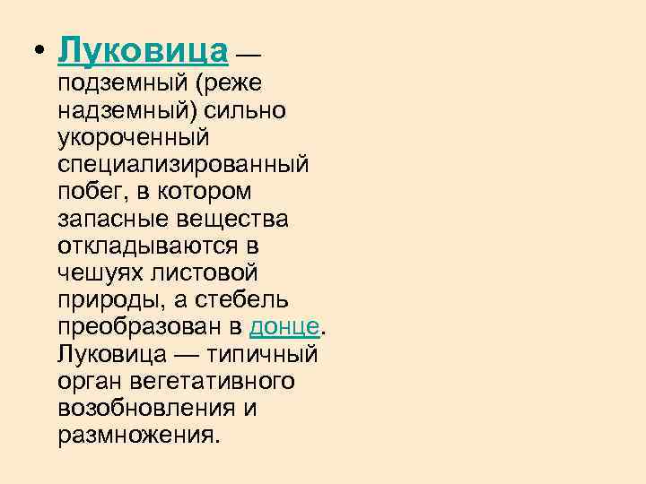  • Луковица — подземный (реже надземный) сильно укороченный специализированный побег, в котором запасные