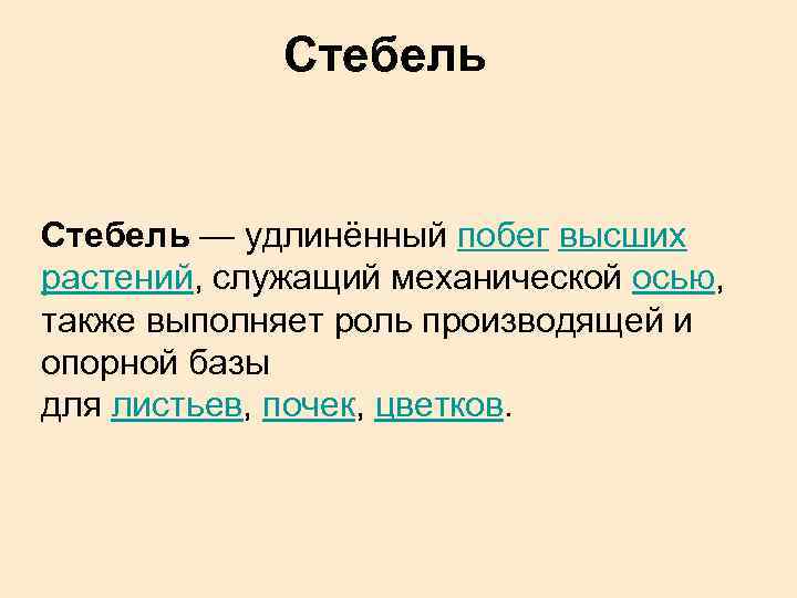 Стебель — удлинённый побег высших растений, служащий механической осью, также выполняет роль производящей и