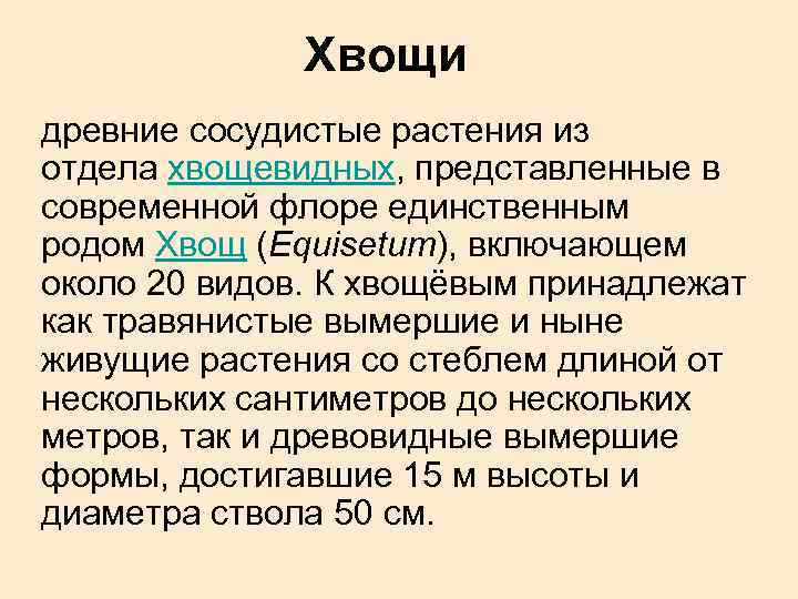 Хвощи древние сосудистые растения из отдела хвощевидных, представленные в современной флоре единственным родом Хвощ