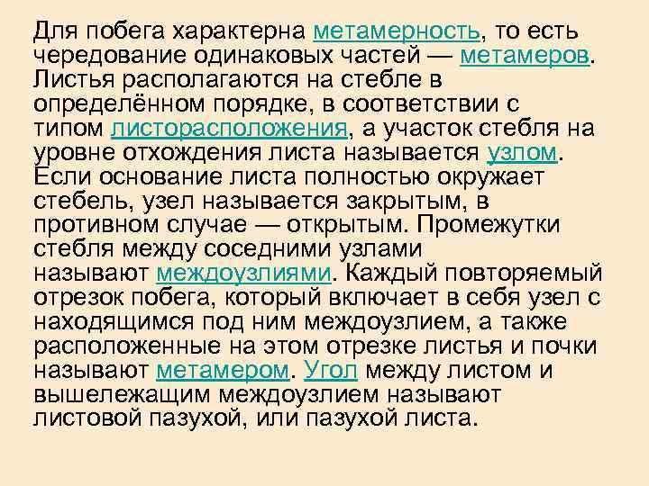 Для побега характерна метамерность, то есть чередование одинаковых частей — метамеров. Листья располагаются на