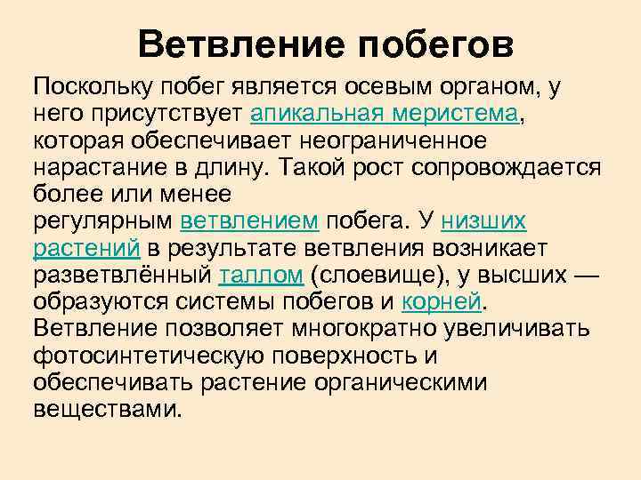 Ветвление побегов Поскольку побег является осевым органом, у него присутствует апикальная меристема, которая обеспечивает